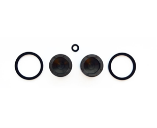 Par de pistones y ligas de caliper V05