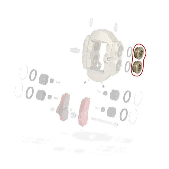 Tapon caliper trasera KZ BSS OTK | Bortoni Motor Sports