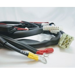 CABLES HARNESS 13