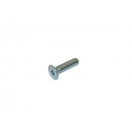 Drilled TPSCEI screw 8 x 45