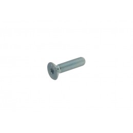 TPSCEI Screw 10 x 40