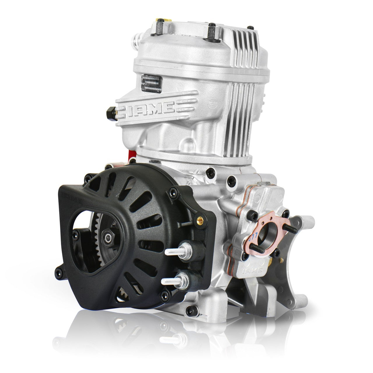 Motor X30 125cc IAME completo con sus accesorios | Bortoni Motor Sports
