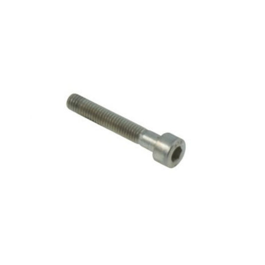 [I]Tornillo TCEI 6x55 mm | Bortoni Motor Sports